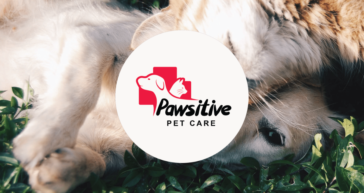 Pawsitive care sale